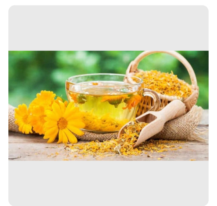 Fresh Land Organic Dandelion Root Tea Powder